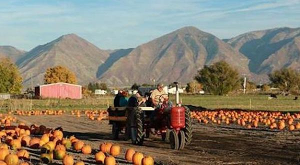 This Rural Fall Festival In Utah Should Go On Your Bucket List This Season