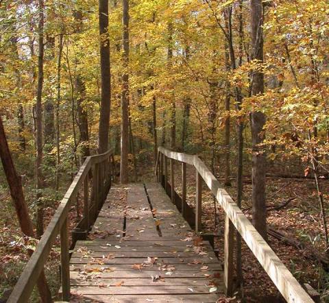 This Easy Fall Hike In Louisiana Is Under 2 Miles And You'll Love Every Step You Take