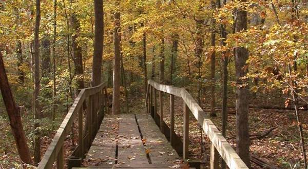 This Easy Fall Hike In Louisiana Is Under 2 Miles And You’ll Love Every Step You Take