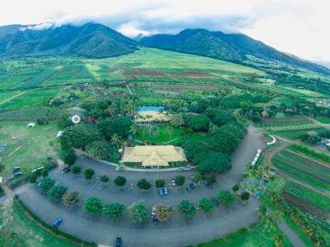 The Old Farm In Hawaii That's A Restaurant, Store, And Adventure Park All In One