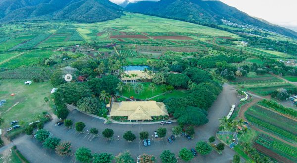 The Old Farm In Hawaii That’s A Restaurant, Store, And Adventure Park All In One