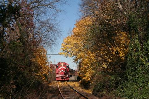 This 18-Mile Train Ride Is The Most Relaxing Way To Enjoy New Jersey Scenery