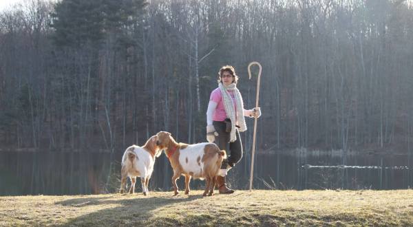 Go Hiking With Goats In Connecticut For An Adventure Unlike Any Other