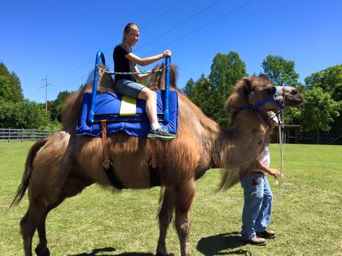 A Visit To This One Of A Kind Camel Farm In Wisconsin Is An Absolute Blast