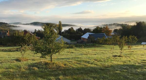The Charming Massachusetts Cidery You’ll Want To Visit This Fall