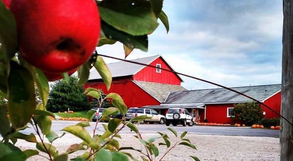 The World’s Freshest Jams Can Be Found At This Orchard Near Cleveland