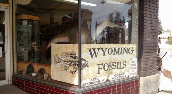 Wyoming’s Dinosaur Store Is One Of The Most Unique In The World