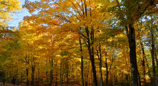 The Awesome Hike That Will Take You To The Most Spectacular Fall Foliage In Maine