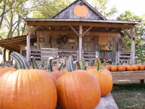 You Can't Ignore This Delightful Farm Market In Tennessee Any Longer