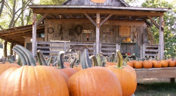 You Can’t Ignore This Delightful Farm Market In Tennessee Any Longer