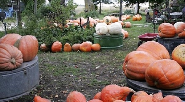 The Charming Pumpkin Festival In Iowa That Will Make Your Fall Complete