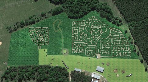 Get Lost In This Awesome 12-Acre Corn Maze In Louisiana This Autumn