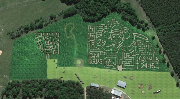 Get Lost In This Awesome 12-Acre Corn Maze In Louisiana This Autumn