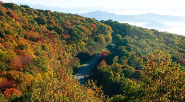 The 23-Mile Scenic Drive In Tennessee You Will Want To Take As Soon As You Can