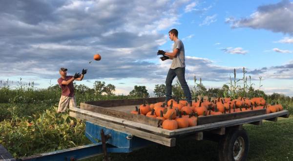A Trip To This Charming Cincinnati Area Pumpkin Patch Makes For An Excellent Fall Outing