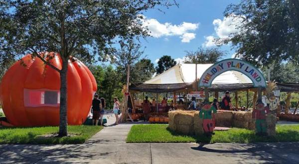 The Most Authentic Pumpkin Patch In Florida Has So Much More Than You’d Expect