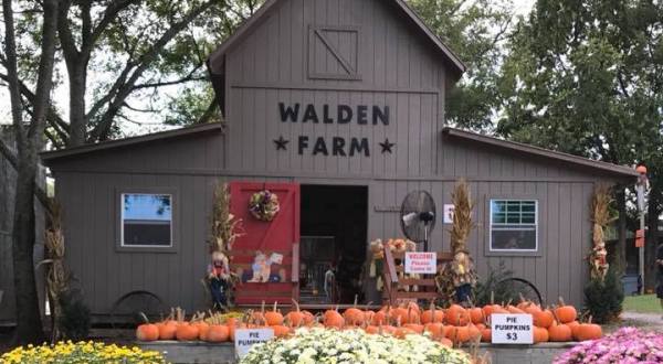 The Farm Near Nashville That Transforms Into A Halloween Wonderland Each Year