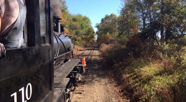This 90-Minute Train Ride Is The Most Relaxing Way To Enjoy Michigan Scenery