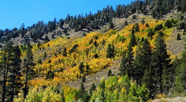 This 2-Hour Drive Through Northern California Is The Best Way To See This Year’s Fall Colors