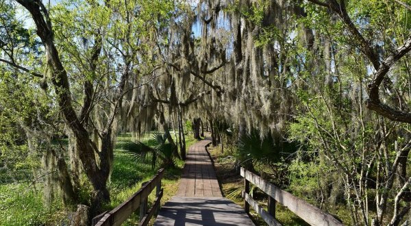 The Magnificent Bridge Trail In Louisiana That Will Lead You To A Hidden Overlook