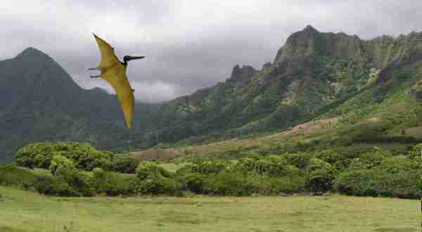 The Mystical Place In Hawaii Where Dinosaurs Once Roamed