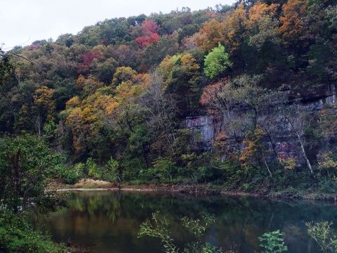 This Magical Hike Through A Missouri Forest Is Unexpectedly Colorful