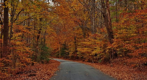 This 2-Hour Drive Through Maryland Is The Best Way To See This Year’s Fall Colors