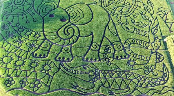 Get Lost In This Awesome 15-Acre Corn Maze In Wisconsin This Autumn