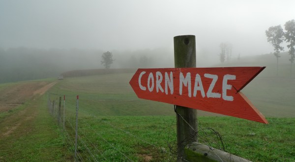 Get Lost In This Awesome 7-Acre Corn Maze In North Carolina This Autumn
