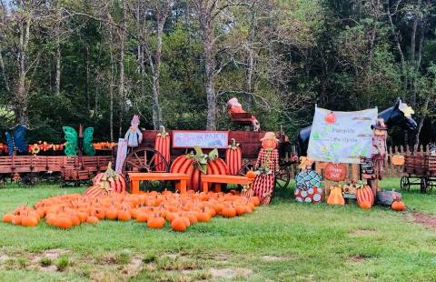 5 Farms In Louisiana That Transform Every Fall To Make Your Autumn Awesome
