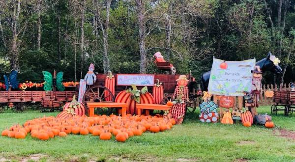5 Farms In Louisiana That Transform Every Fall To Make Your Autumn Awesome