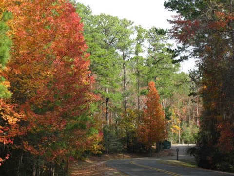 The One Louisiana Town Everyone Must Visit This Fall