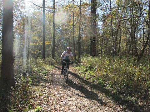 The Trails At This 1700-Acre State Park Near New Orleans Are Simply Breathtaking