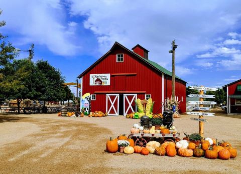 The Charming Farm Festival In Colorado That Will Make Your Fall Complete
