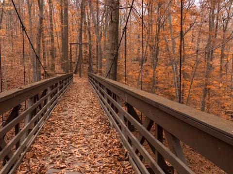10 Of The Greatest Hiking Trails On Earth Are Right Here In Cleveland