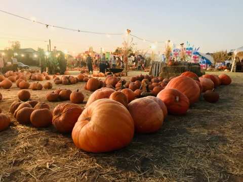 These Utah Pumpkin Houses Are Just Begging To Be Visited This Fall