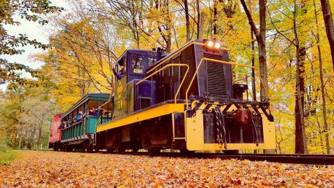 This Trick Or Treat Train Ride Near Buffalo Is The Best Way To Spend Your Halloween