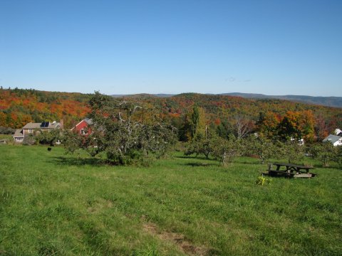 These 6 Cider And Donut Mills In Massachusetts Will Put You In The Mood For Fall