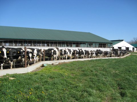 The 100-Acre Dairy Farm In Ohio That Will Delight You Beyond Words