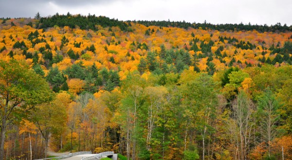 This 2-Hour Drive Through Massachusetts Is The Best Way To See This Year’s Fall Colors