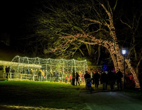 You've Never Seen Anything As Magical As This Holiday Lights Festival In Massachusetts