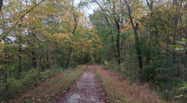 Spend A Crisp Fall Day Hiking This Heritage Trail Near Pittsburgh