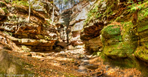 Step Into A Fairy Tale With A Visit To This Otherworldly Wisconsin Park