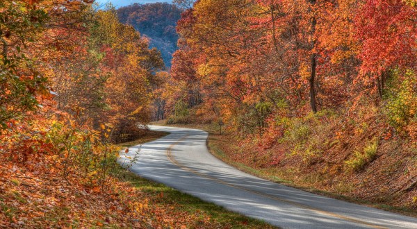 This 3-Hour Drive Through Virginia Is The Best Way To See This Year’s Fall Colors