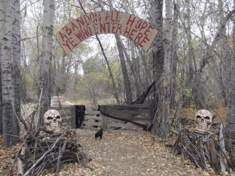Take A Walk Through This Haunted Forest In Idaho For The Scariest Time Of Your Life