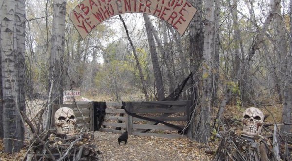 Take A Walk Through This Haunted Forest In Idaho For The Scariest Time Of Your Life