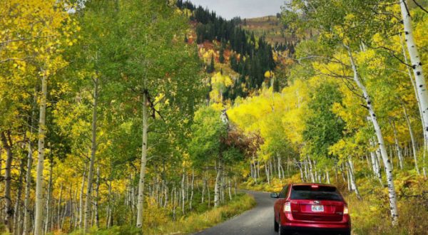 This 2-Hour Drive Through Utah Is The Best Way To See This Year’s Fall Colors