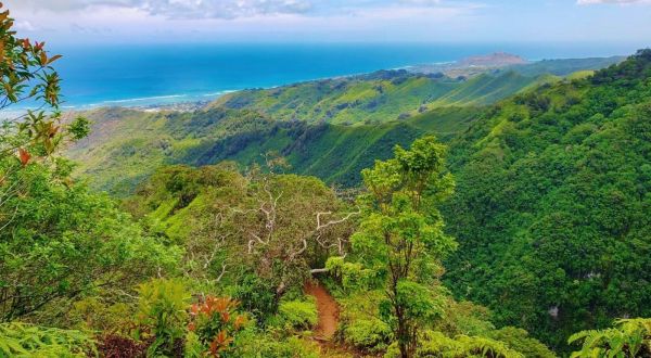 The Little Known Ridge Trail That Will Show You A Side Of Hawaii You’ve Never Seen Before