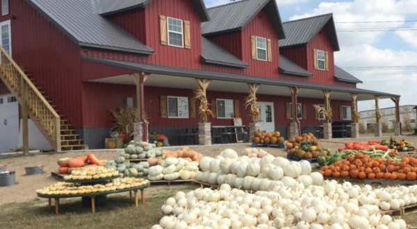 These 8 Pumpkin Patches In Kansas Are Oodles Of Fun