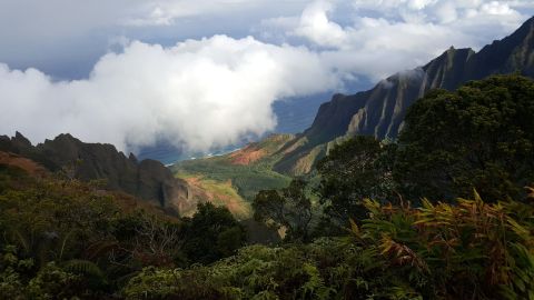 The Hawaii Hike That Leads To The Most Unforgettable Destination